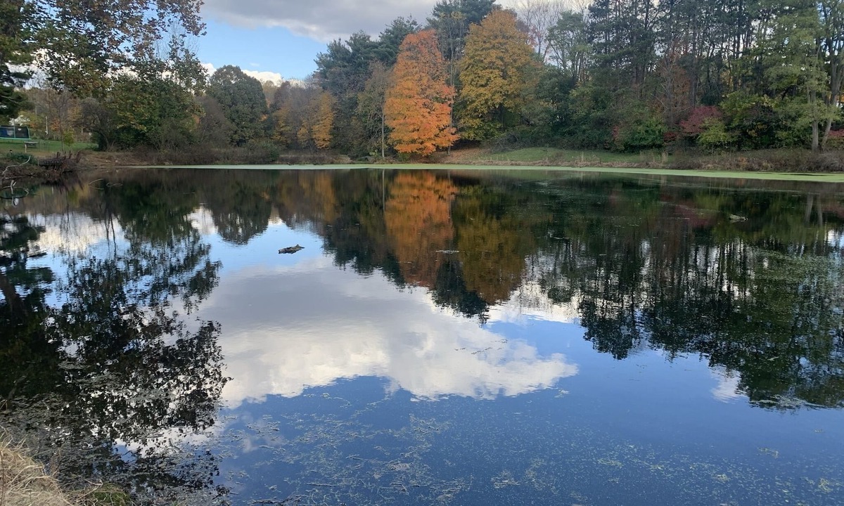 Mount Vernon House | Charming 2 bedroom cabin on private pond!