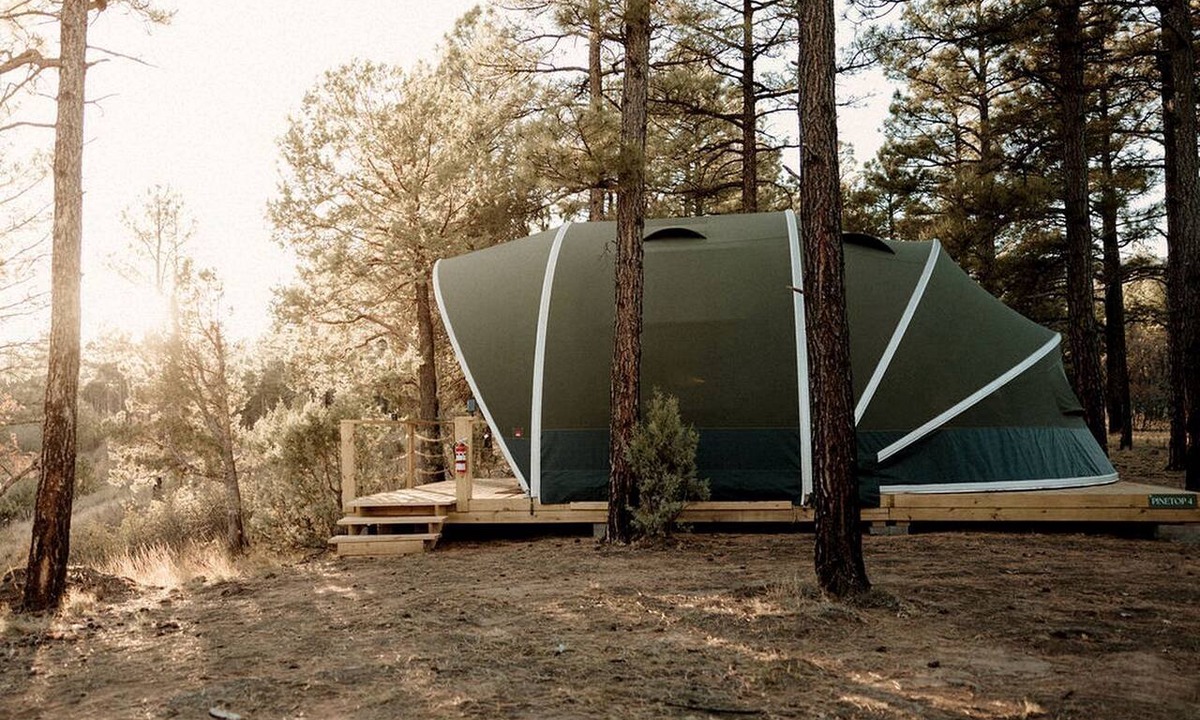 McIntosh RV Rental | Cozy Glamping Tent with Heritage Orchard & Farm Animals near Mountainair in Torreon, New Mexico