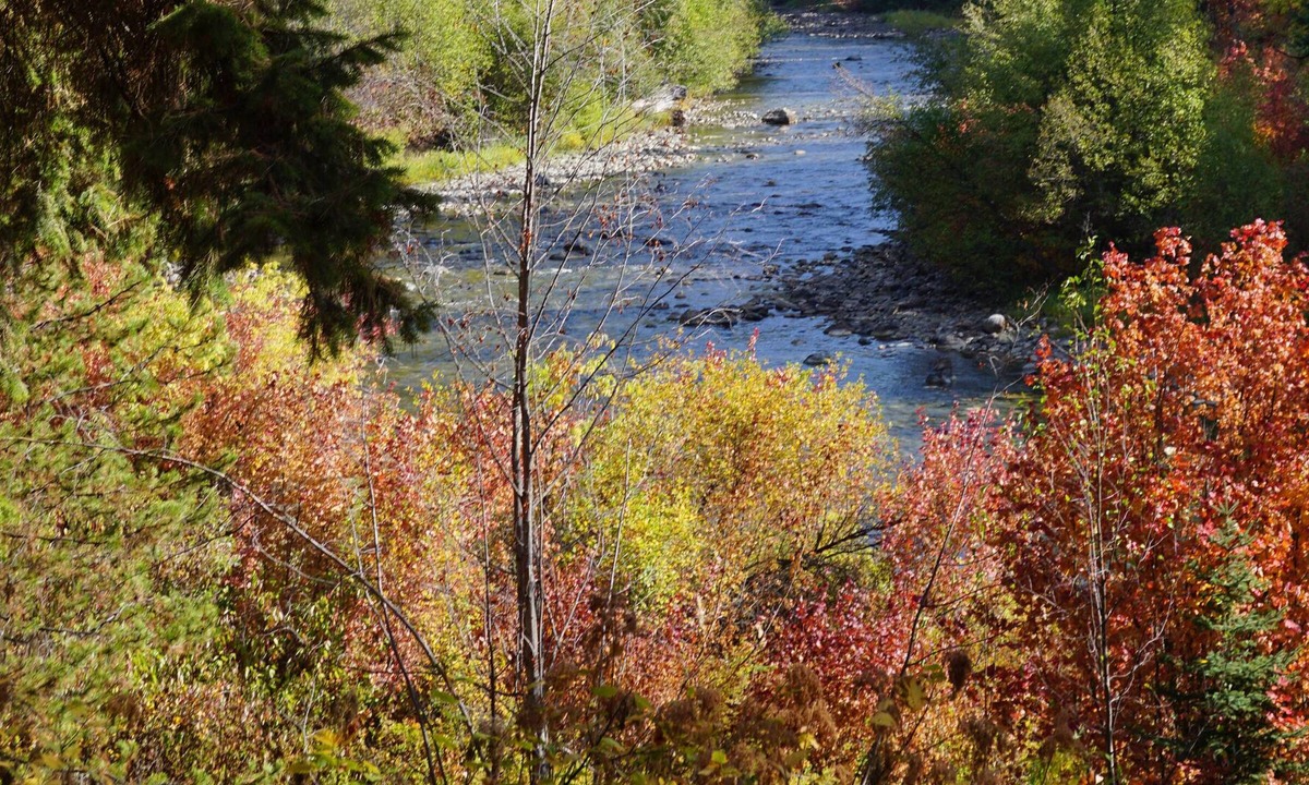 Ardenvoir Cabin | Panabode Log Cabin On The Banks Of The Scenic Chiwawa River