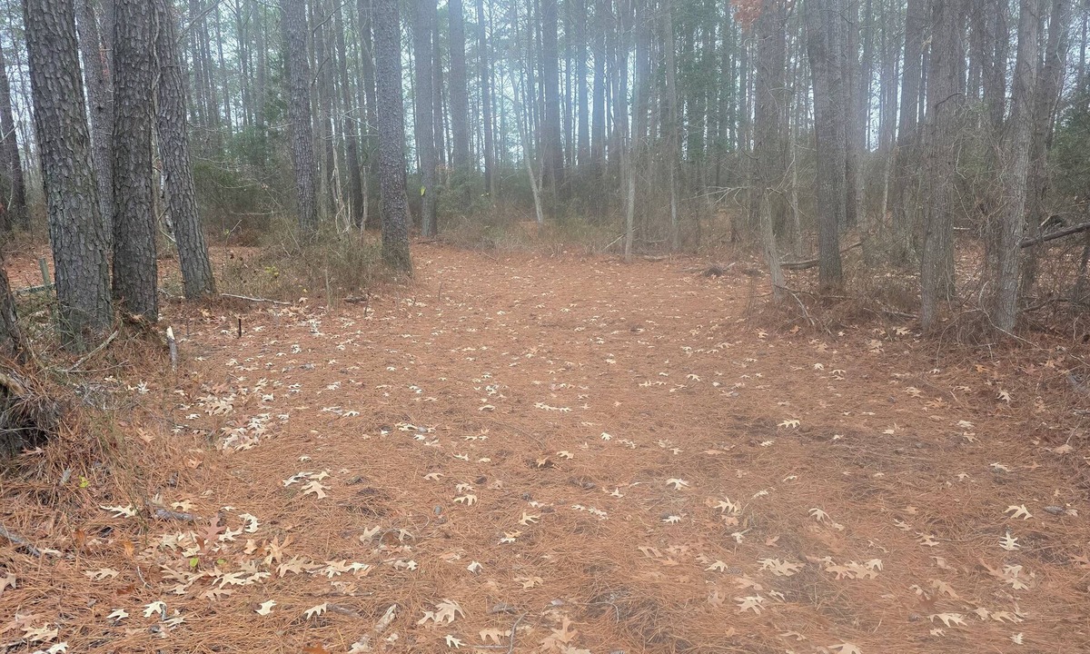 Diggs RV Rental | RV Site On Blanchard Farm -MAX RV LENGTH 24 FT