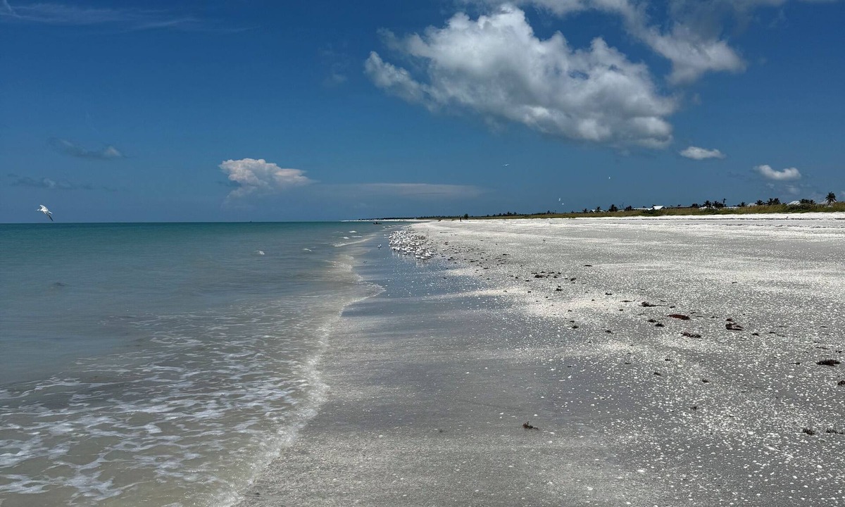 Tradewinds House | Sleeps 10 - Available Year Round - Huge Private Home