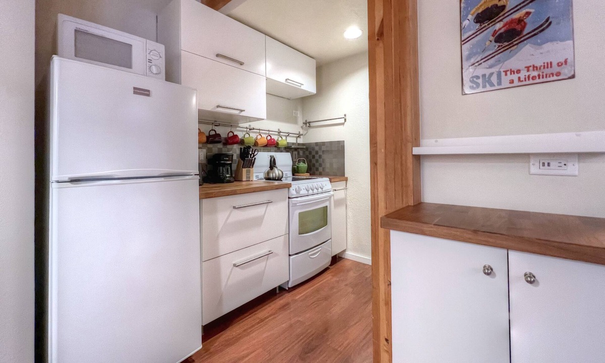 Mount Crested Butte Condo | Studio Getaway close to the slopes!