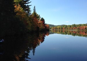 Algonquin Park Area House Cottage - Madawaska, Ontario, Canada in South Algonquin