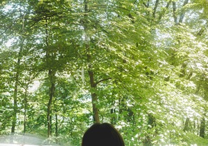 Glamplyfe Nature Experience: A-Frames on Lakefront L13