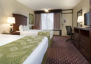 Group Theme Park Adventure! 2 Spacious Units, Free Shuttle, Restaurant, Pool