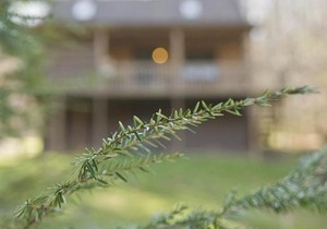 Pioneer - Hocking Hills Cabin