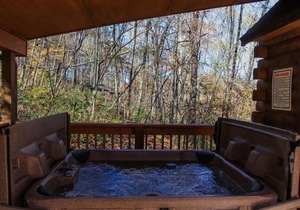 Pioneer - Hocking Hills Cabin