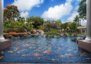 Stunning One Bedroom Marriott Kauai Beach Club
