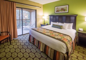 Ultimate Orlando Adventure: Orange Lake Resort - Disney, Universal, Sea World!