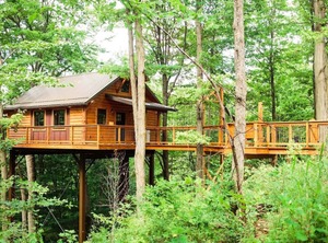 Treehouse | Millersburg