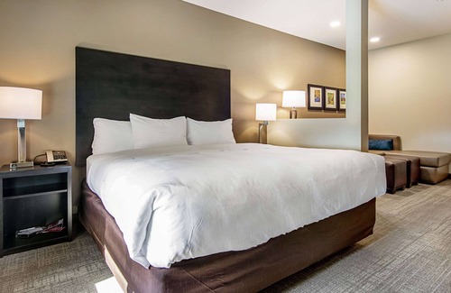 Wooster Hotel | Comfort Suites Wooster near University Campus