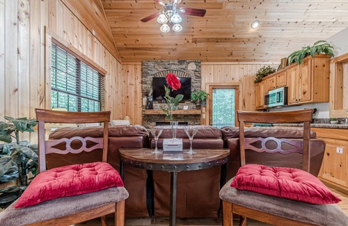 Cleveland Cabin | 1 NIGHT WORLD CUP WATCH PARTY GETAWAY. HELEN WATER TUBING 10 MIN DRIVE.
