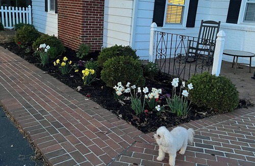 Ware House | Bluebell Cottage! Waterfront, Boat Dock in Gloucester VA. Handicap accessible!