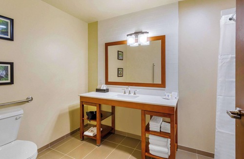 Burlington Hotel | Comfort Suites Burlington near I-5
