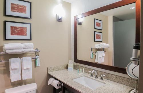 Marietta Hotel | Comfort Suites Marietta-Parkersburg