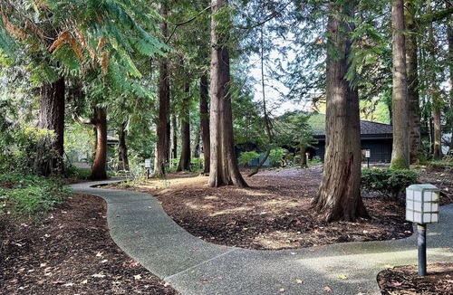 Northwest Bellevue Condo | Cozy Downtown 2BD Bellevue Condo Free Parking