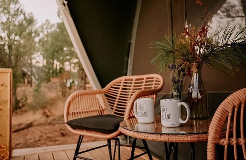 McIntosh RV Rental | Cozy Family Glamping Escape with Heritage Orchard near Mountainair in Torreon, New Mexico