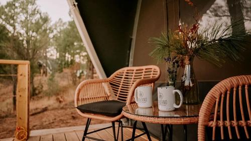 McIntosh Other | Cozy Glamping Tent with Heritage Orchard & Farm Animals near Mountainair in Torreon, New Mexico