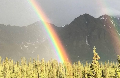 Cantwell Cabin | Glamping Yurt Rental near Denali Park for a Vacation in Alaska