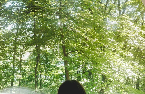 Kipling RV Rental | Glamplyfe Nature Experience: A-Frames on Lakefront L13