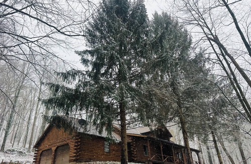 Dover House | Great 3 Bedroom Log House in Amish Country