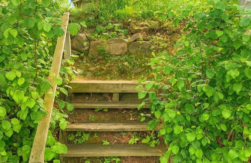 Woodruff Cabin | Gresham Shores - Hungry Bear - PET FRIENDLY