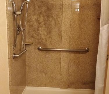 Canton Hotel | Holiday Inn Canton-Belden Village by IHG