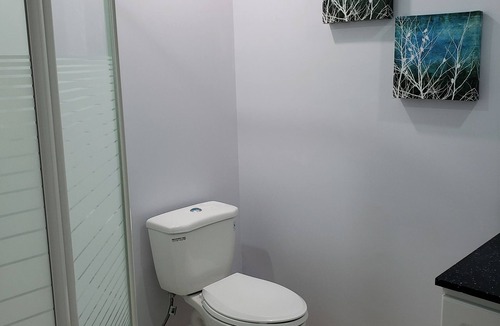 Mount Pleasant Apartment | Luxurious 1BR+1BA Apt., Modern, Bright, w. parking
