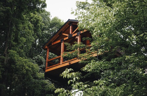 Fredericksburg Cabin | Luxury Treehouse Cabin over Salt Creek - Cabin 1