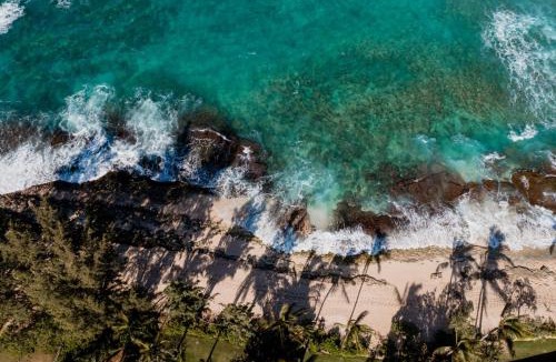 Kahuku Apartment | NEW Kuilima Estates Golf View 2 BR Sleeps 6 Car Incl. w 6 Nights KUL-W145 by KBM