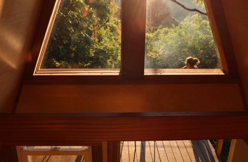 Frazeysburg Cabin | Oxley in the Woods: Off-Grid A-Frame Treehouse nestled in the woods