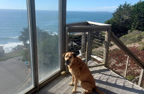Dillon Beach House | Panoramic Ocean Views walk to the Beach