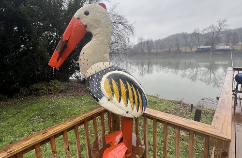 Coal Run Cabin | Riverview Cabin located on waterfront. Pet Friendly! Fishing, relaxing, and fun!