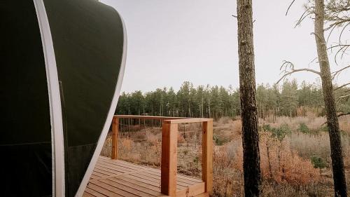 McIntosh Other | Scenic King Glamping Tent with AC & Mountain Views near Mountainair in Torreon, New Mexico
