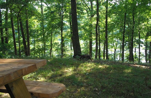 Glouster House | Secluded 5 BR brick ranch with a panoramic view of the lake through the trees
