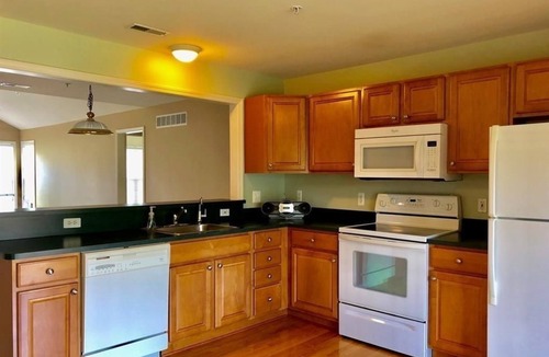 Carroll Condo | Shanina Condo. suit