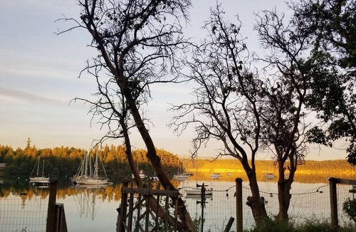 Marrowstone House | Shared room, water view/access, Mini Fridge, Fire pit.