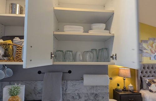 Lutz Condo | Stay Bare and Bright at Pineapple Paradise