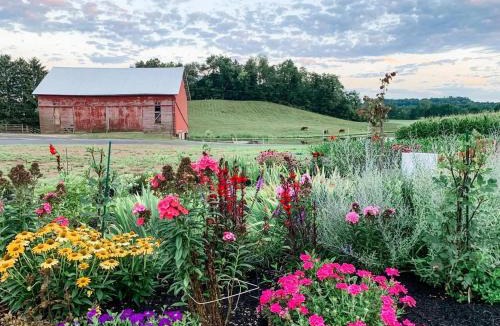 Shreve Other | The Nest at Hummingbird Hill - Glamp tent