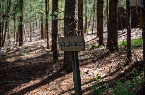 Old Washington Cottage | Timberline Cabins - Wildwood Cottage - Hot tub, Pets, Fireplace