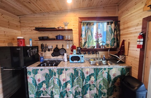 Fern Forest Cabin | tiny home 6 w/private hot tub surrounded by nature near Volcano National Park