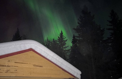 Hope Cabin | Tranquil dry cabin in lovely Hope perfect for relaxing getaway