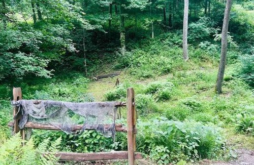 Glenford House | Walnut Lodge Cabin-Private Oasis