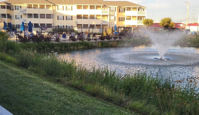 2103 Palms, 2-bedroom condo, Select Summer dates still available
