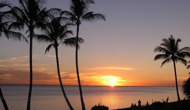 ALOHA OceanFront Condo w.A/C, Molokai, Hawaii Watch whales Dec-April.