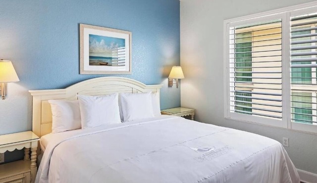 Beachside 1 Bedroom Condo – Gorgeous Ocean Views + Pool, Ideal for Couples