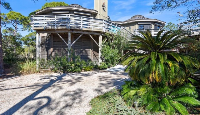 BIRD WATCHER IS PARADISE FOR A NATURE LOVER!