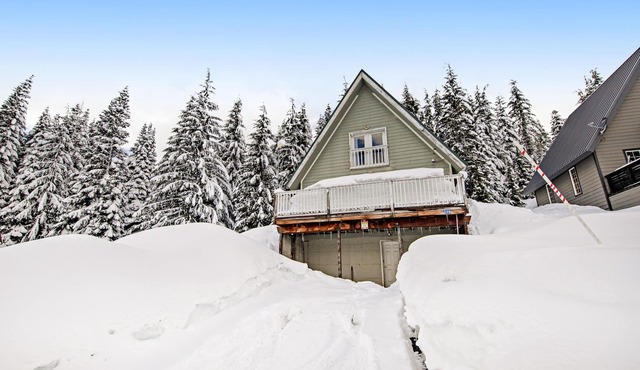 Charming, walk-to-lifts cabin with mountain views, kayaks & arcade game