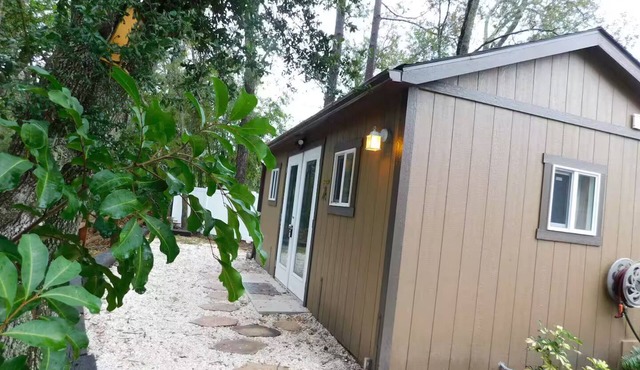 Clearwater Creekfront Tiny Home - Safety Harbor