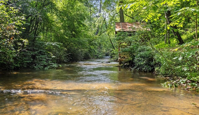 Cozy Creekside Chalet + Fishing + Serene + Firepit